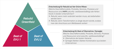 Infografik_EVU Rebuilding_Strategien für die Konsolidierung von EVUs